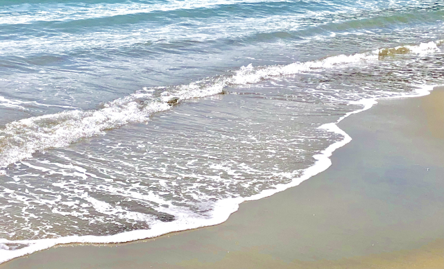 静岡海水浴